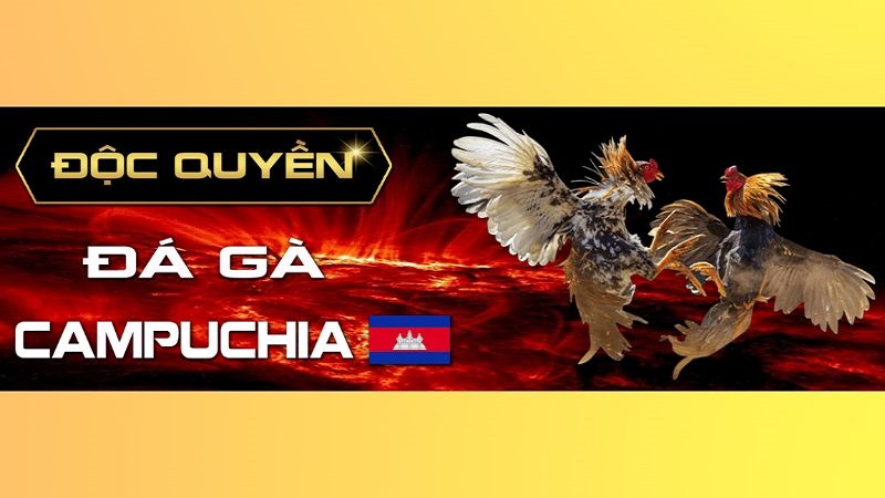 Đá gà W88 - Siêu phẩm cá cược hot năm 2024 3 dễ dàng tham gia đá gà W88